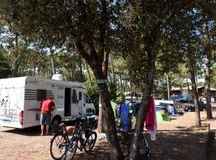 emplacement de camping en Gironde à Hourtin plage au camping de la Côte d'argent