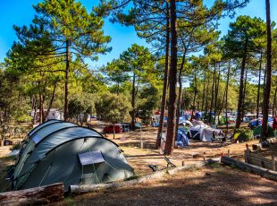 tente sur une location d'emplacement de camping en Gironde au camping la côte d'argent