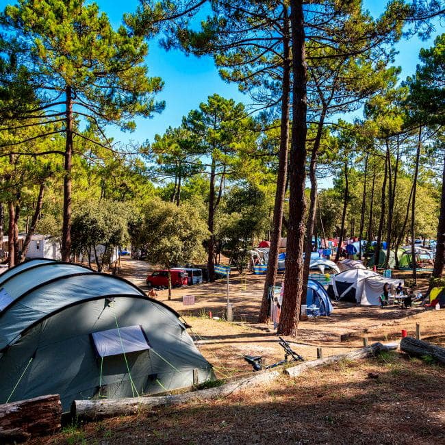 tente sur une location d'emplacement de camping en Gironde au camping la côte d'argent