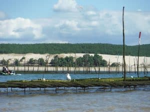bassin arcachon gironde 300x225 1