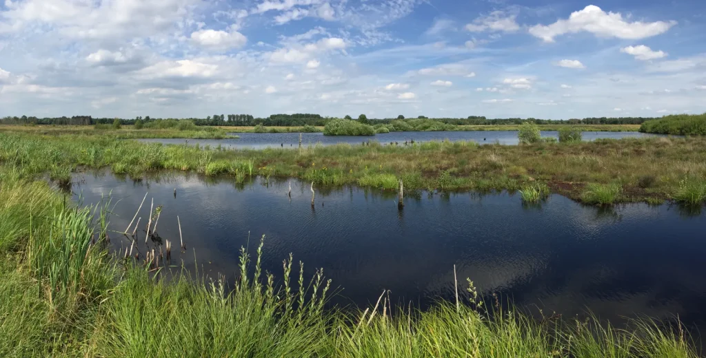 photo marais hourtin