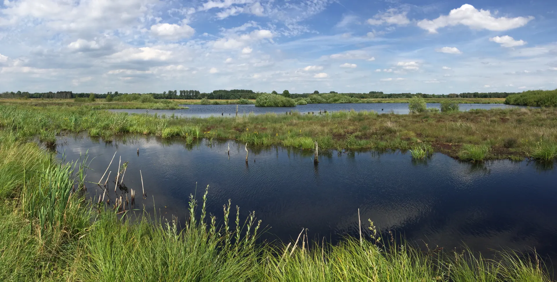 photo marais hourtin