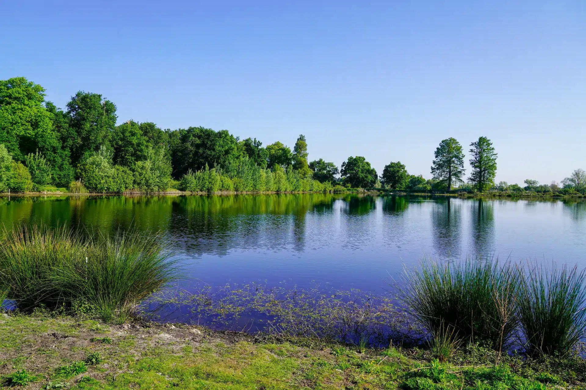 photo peche lac hourtin