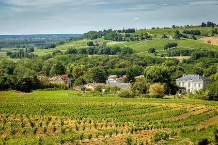 Le Parc Naturel Régional du Médoc