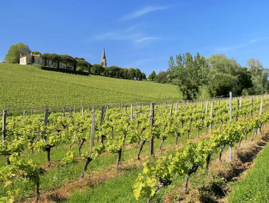 ADO Vignoble Bordelais