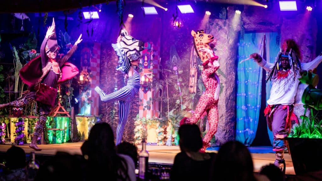 SPECTACLE JUNGLE 39